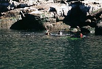 Dodd Narrows
