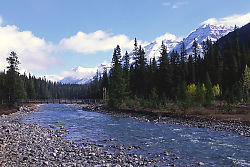Suspension Bridge