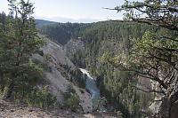 Neave Creek From Canyon Edge