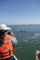 Nara Taking Photos Of Dolphins