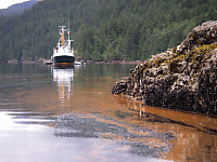 Orange Water Around Ship