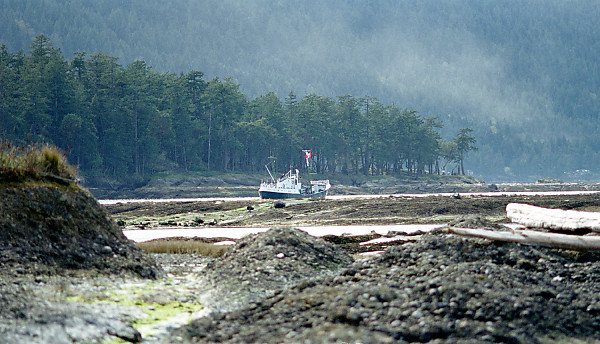 mainimage
