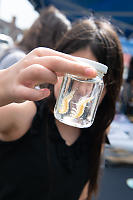 Claira With Krill Sample