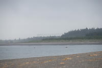 The Elephant Cage At Airport Beach