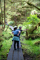 Walking Up Boardwalk