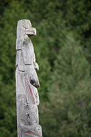 Eagle On Tsaahl Llnagaay