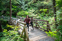 Kids Running On Bridge