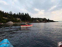 Claira Paddling In Bay