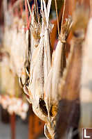Drying Fish Hanging