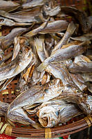 Dried Fish