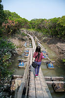 Nara Walking On Floating Boardwalk