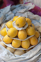 Nicely Presented Loquat