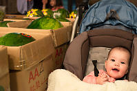 Claira Dwarfed By Watermellon