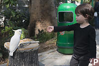 Claira Trying To Feed Her Fingers To ABird