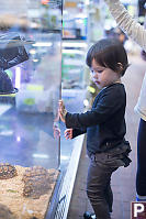 Claira With Tortises