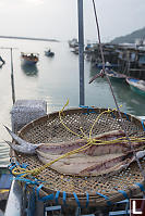 Fish Drying In ABasket