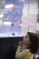 Nara With Finding Nemo Fish