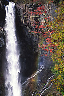 Falls With Trees