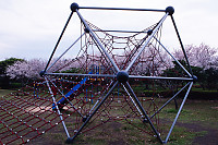 Best Rope Climbing Gym Ever