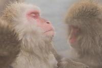 Enjoying The Grooming