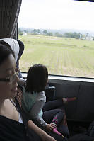 Nara Watching Rice Fields Go By