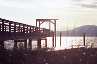 Pier On Sydney Island