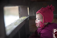 Claira Looking Out Of Blind