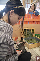 Claira In Smaller Enclosure