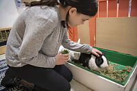 Claira Petting Rabit Behind Ears