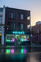 Eevees Bright Lights