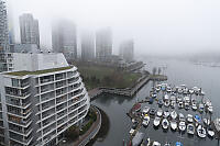 Fog Over Marina