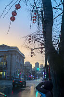 Nara Taking Photos Of Lanterns