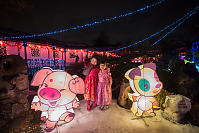 Kids And Outline Animals