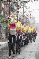 Dragon Walking In Line