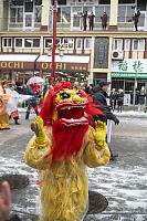 Lion In Front Of Crowd