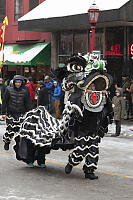 Peaking Out Of Black Lion