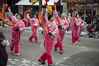 Pink Year Of The Snake