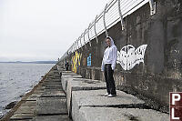 Cool Kid Nara On Breakwater