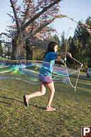 Nara Leaving Long Streak Of Bubble