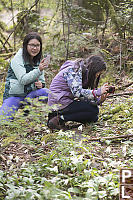 Taking Photos Of Lilies