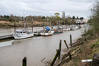 Low Tide At Scotch Pond