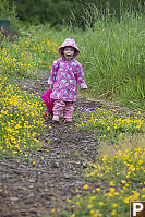 Claira Walking In The Buttercup