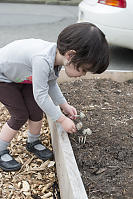 Claira Pulling Mushrooms