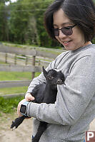 Goat Eating Helens Shirt