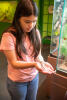 Previous
