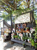 Flower Stand
