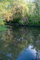 Reflecting Pond