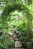 Arch In Back Yard
