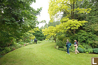 Large Enough To Play Football