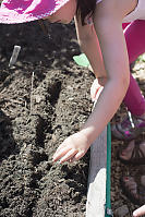 Nara Planting Bok Choy